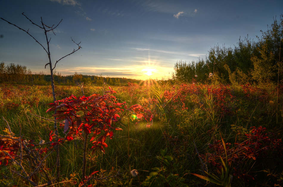 Miquelon Lake Provincial Park