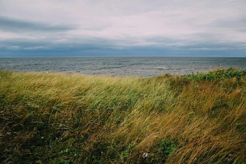 Murray Beach Provincial Park