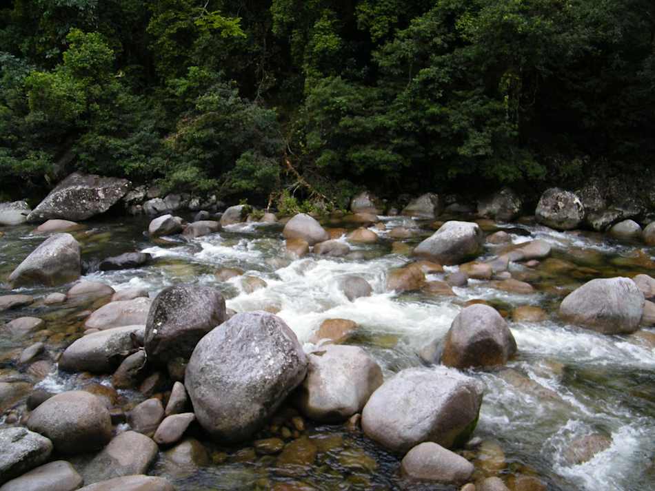 Daintree National Park
