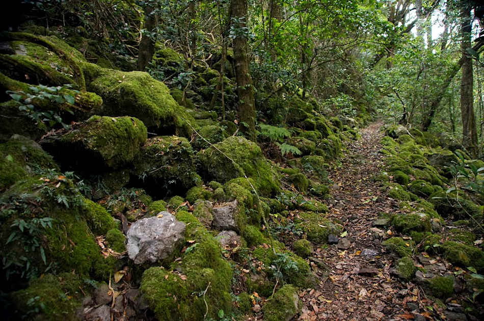 Main Range National Park