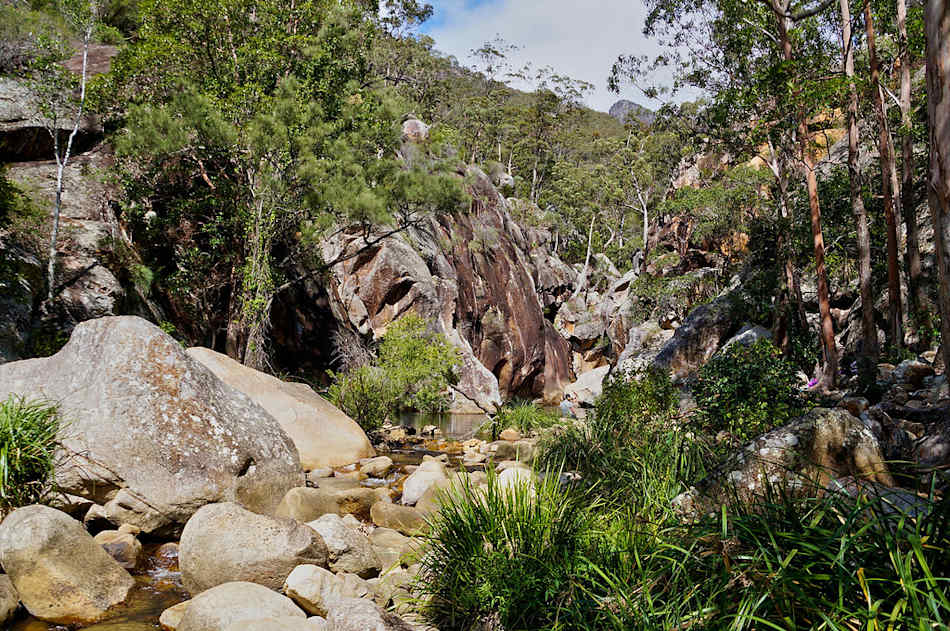 Mount Barney National Park