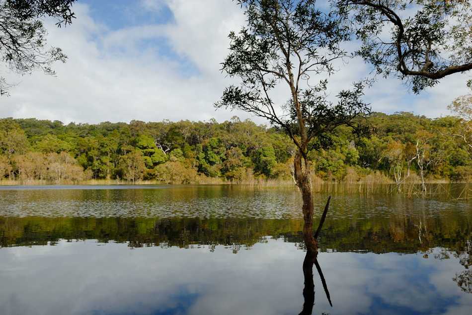 Poona National Park