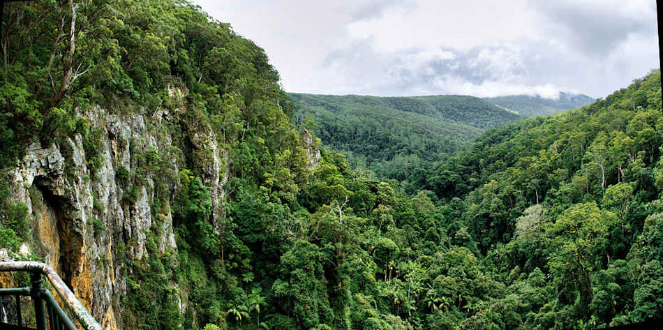 Springbrook National Park