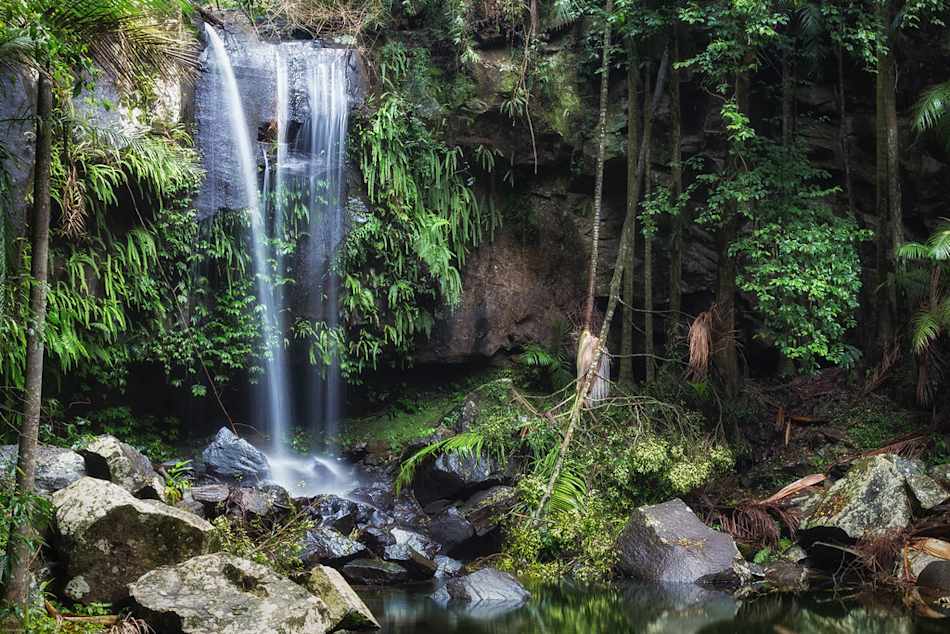 Tamborine National Park