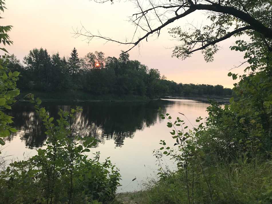 Baudette