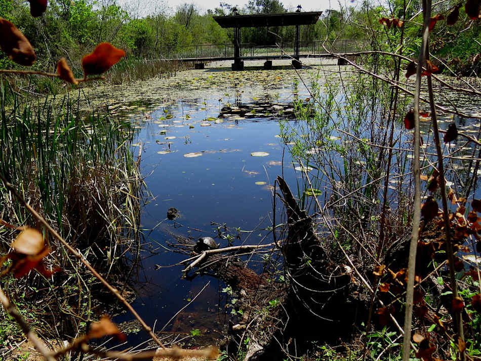 Sheldon Lake State Park