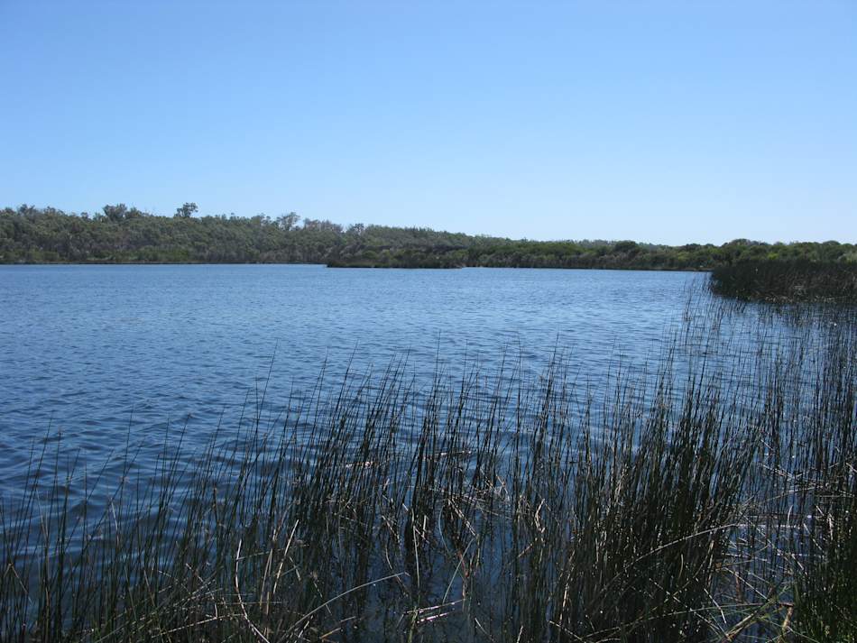 Yanchep National Park