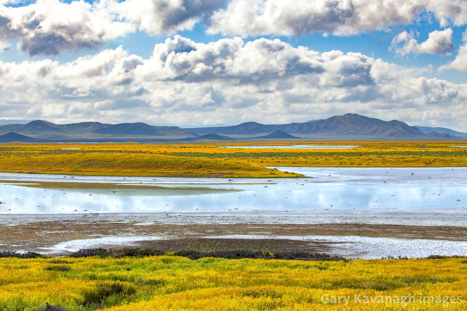 Soda Lake