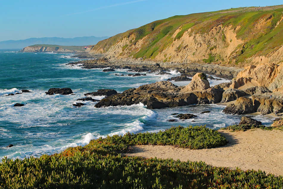 Bodega Head