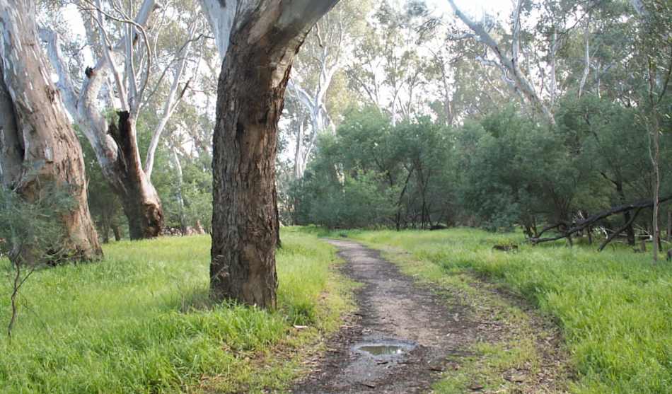Mount Buffalo