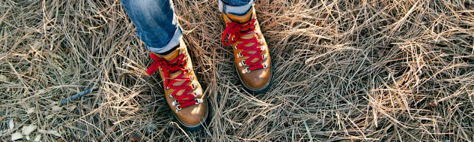 Glen Innes Showground