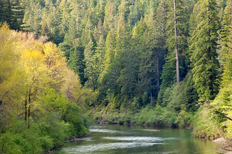 Eel River