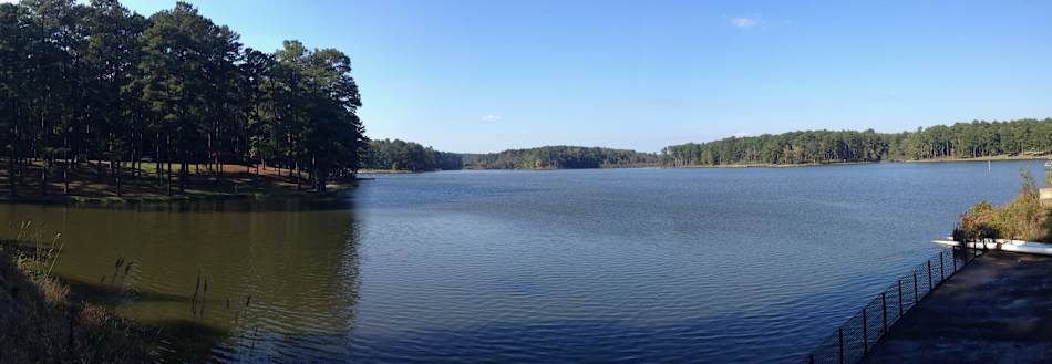 Tombigbee National Forest