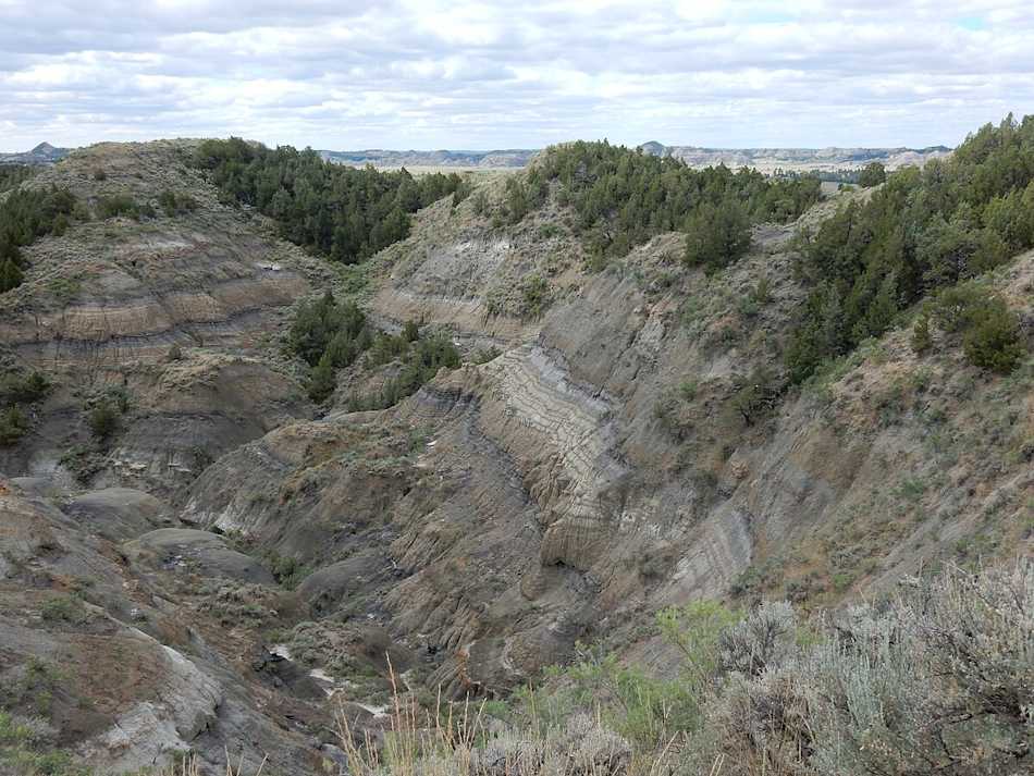 Diane Gabriel Trail