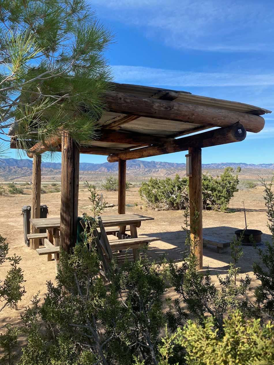 Los Olivos