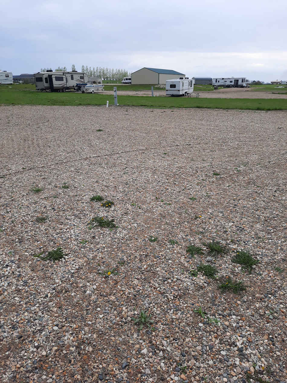 Bottineau