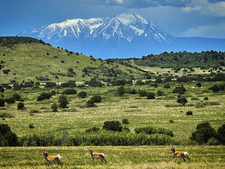 Spanish Peaks view from camping area... 