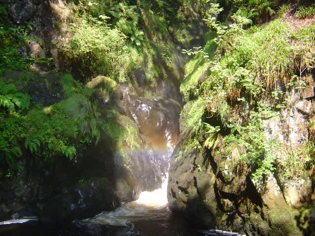 Aira Force