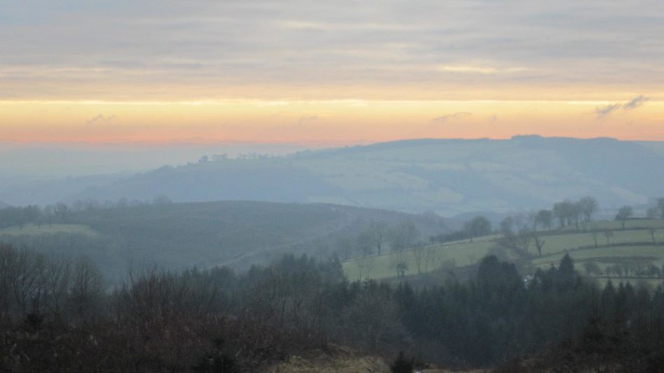 Brechfa Forest