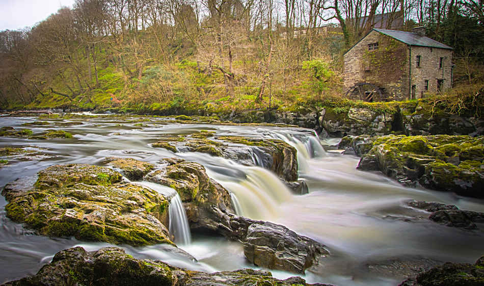 Cenarth Falls