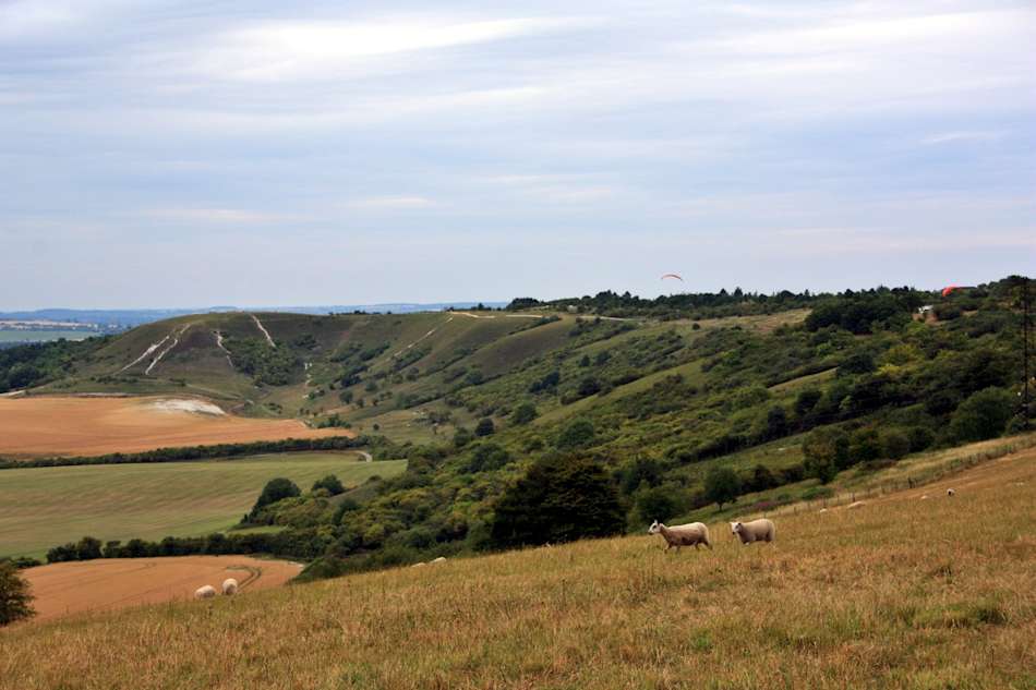 Dunstable Downs