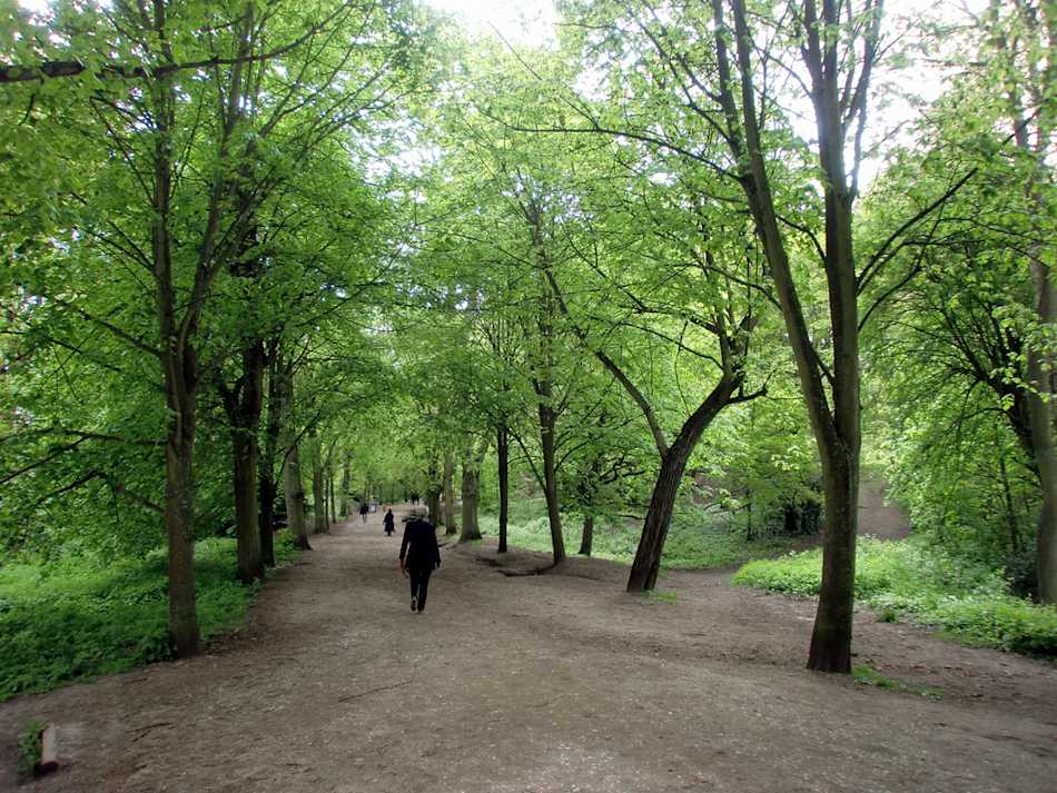Hampstead Heath