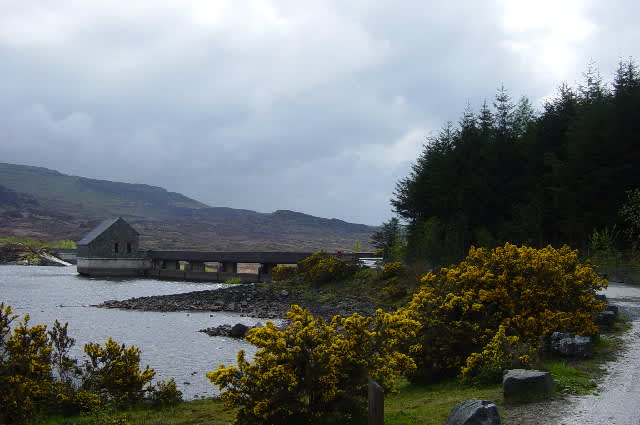 Llyn Trawsfynydd