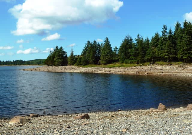 Loch Bradan