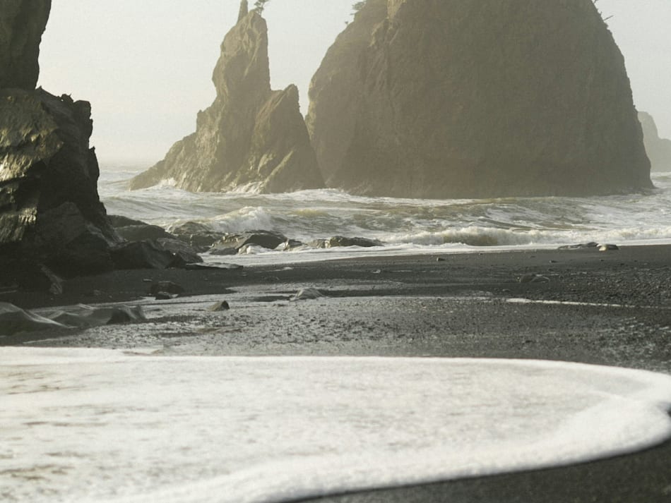 Cover photo for Olympic National Park