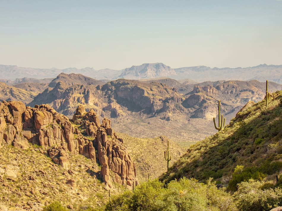Cover photo for Saguaro National Park