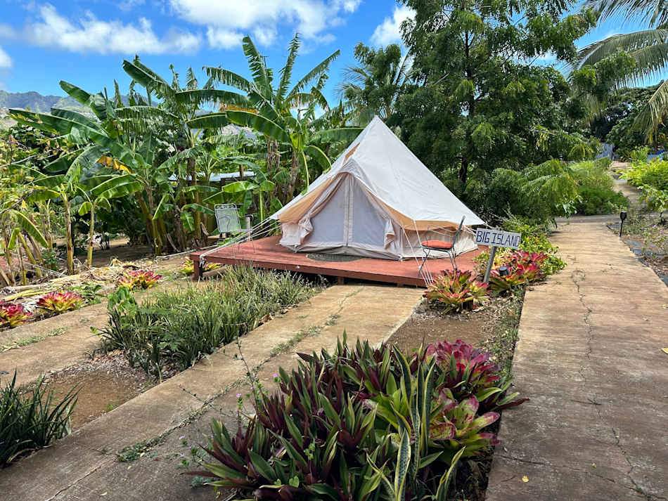 Tent - Big Island