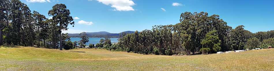 The view of Possum Bay from Semaphore Farm's main camping area. 