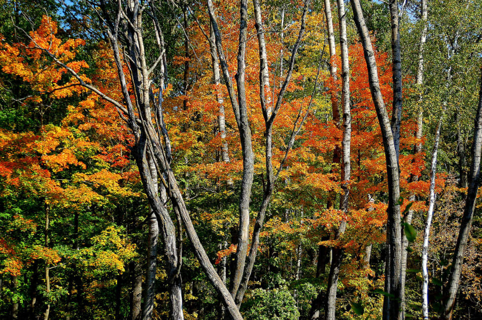 Mille Lacs Kathio State Park