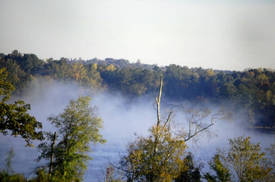 Lake Greenwood State Park