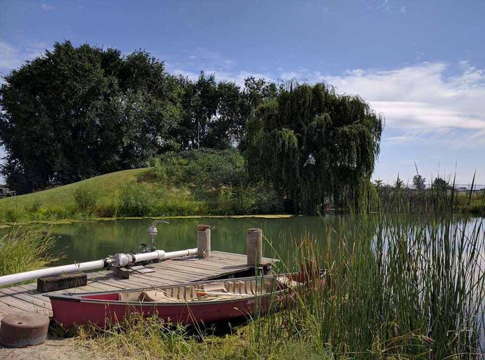 Grass campsite located on the back side of the pond near the tree.