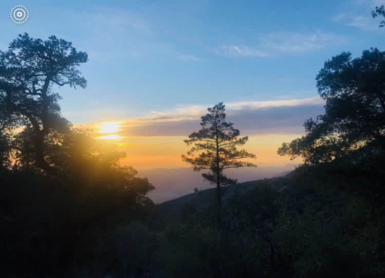 Idyllwild