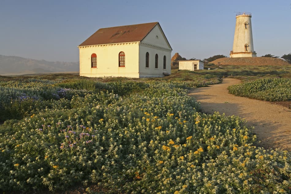 Piedras Blancas Light Station