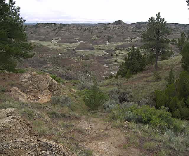 Kinney Coulee Trail