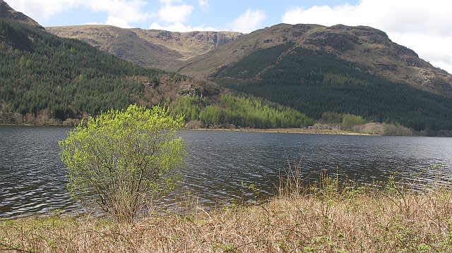 Loch Eck