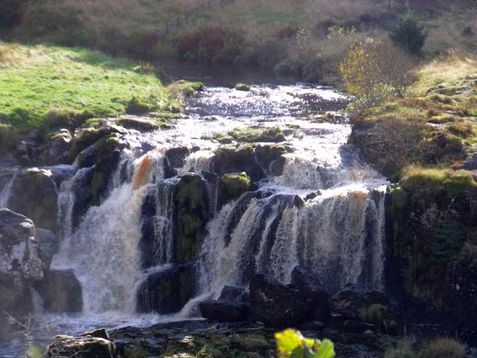 Loup of Fintry