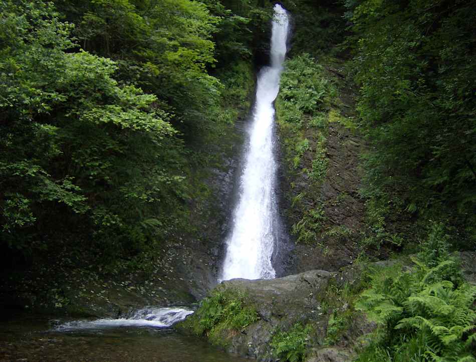 Lydford Gorge