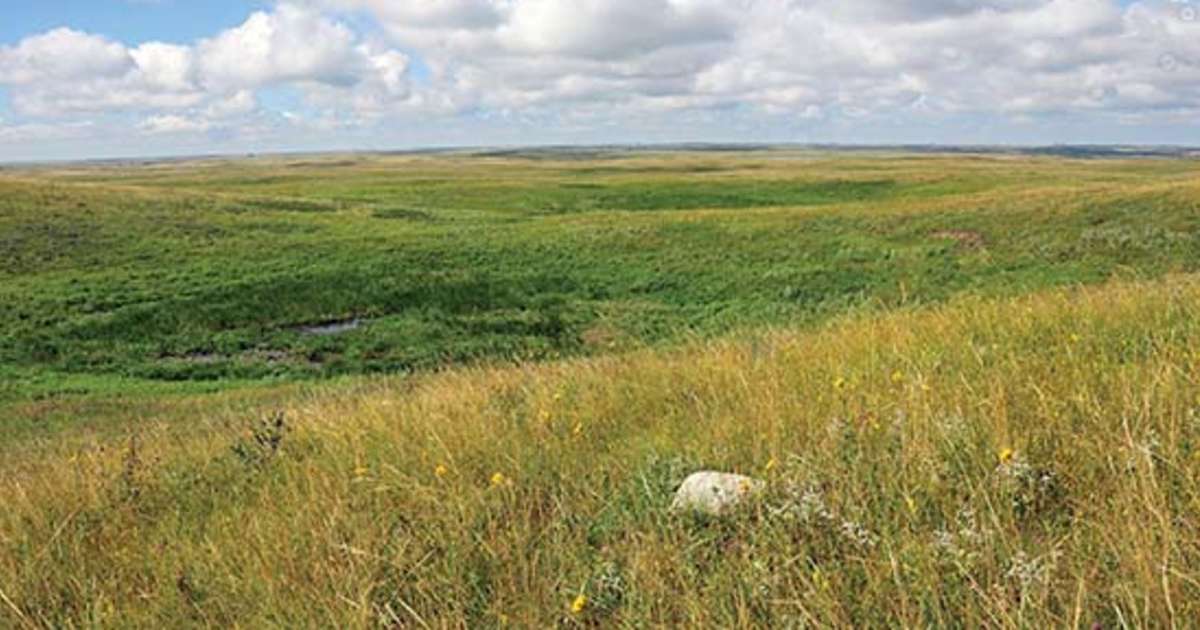 Искусная бабенка в степной местности