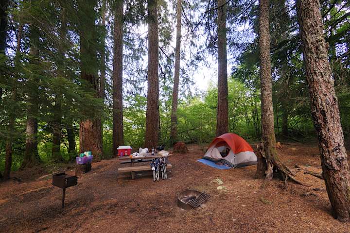 Cold Water Cove Campground, Willamette, OR: 1 Hipcamper Review And 3 Photos