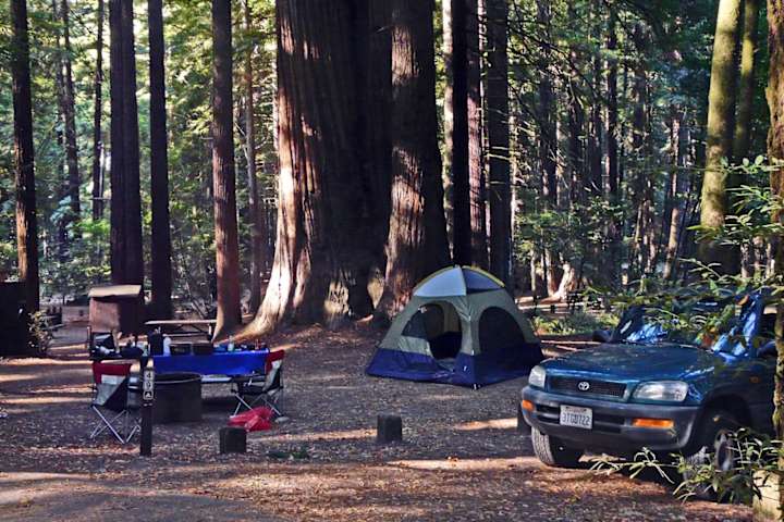 Escape to Bliss: Your Guide to Burlington Campground, Northern California