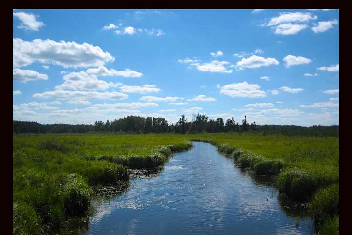 Escape to Serenity: Unwind at Minnesota's Garfvert Campground