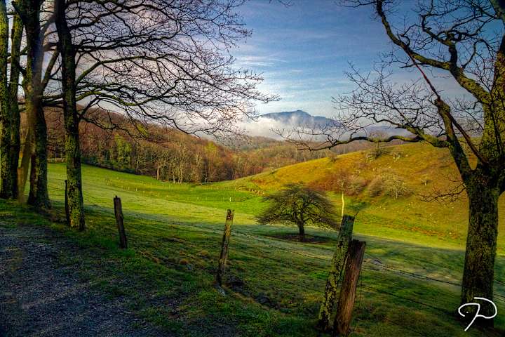 Escape to the Majestic Grandfather Mountain: Your NC Campground Adventure Awaits!