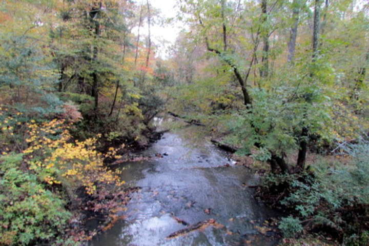 Medoc Mountain Campground, Medoc Mountain, NC: 4 Photos