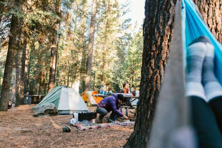 Hodgdon Meadow Campground, Yosemite, CA: 9 Hipcamper Reviews And 27 Photos