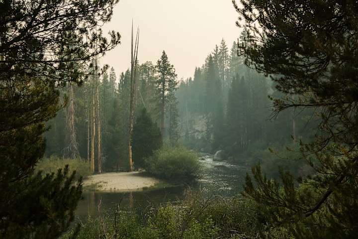 Escape to Montana's Wild Side: A Guide to Mono Creek Campground