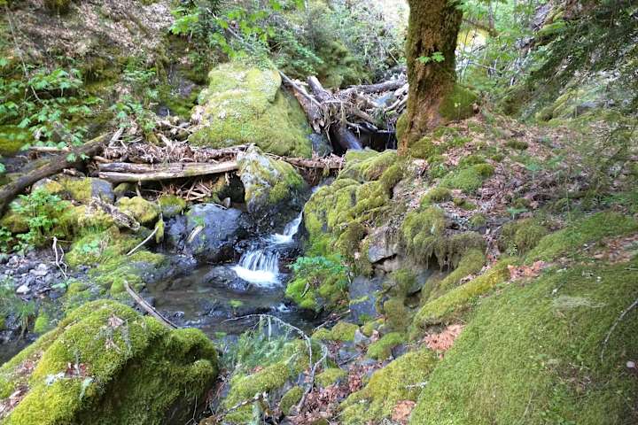 Escape To Deerlick Springs: Your Northern California Adventure Awaits!